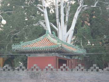 Im_Kaisergarten_2