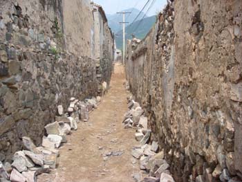 DSC01100