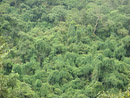 Naturreservat im Tal der wilden Elefanten
