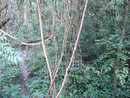 Naturreservat im Tal der wilden Elefanten