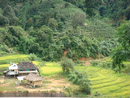 Ostwärts nach Menghai
