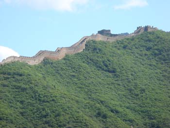 DSC00924