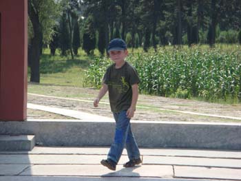 DSC01456
