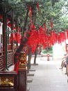 Jade Tempel, Shanghai