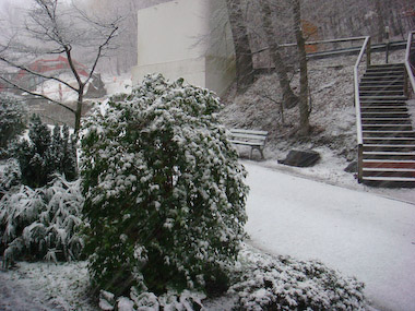 Winter auf dem Zauberberg