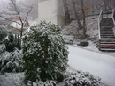 Winter auf dem Zauberberg